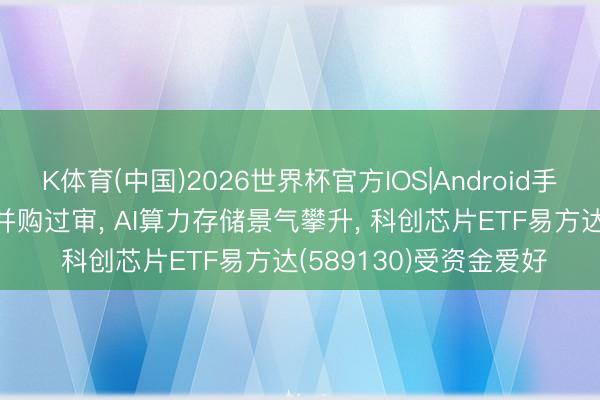 K体育(中国)2026世界杯官方IOS|Android手机app下载 中芯国际并购过审， AI算力存储景气攀升， 科创芯片ETF易方达(589130)受资金爱好