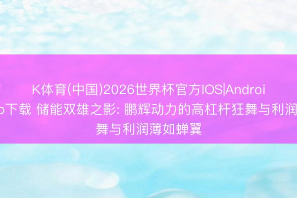 K体育(中国)2026世界杯官方IOS|Android手机app下载 储能双雄之影: 鹏辉动力的高杠杆狂舞与利润薄如蝉翼