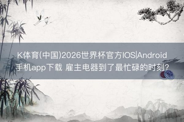 K体育(中国)2026世界杯官方IOS|Android手机app下载 雇主电器到了最忙碌的时刻?