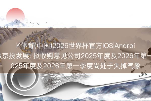 K体育(中国)2026世界杯官方IOS|Android手机app下载 三连板京投发展: 拟收购意见公司2025年度及2026年第一季度尚处于失掉气象