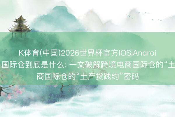 K体育(中国)2026世界杯官方IOS|Android手机app下载 国际仓到底是什么: 一文破解跨境电商国际仓的“土产货践约”密码