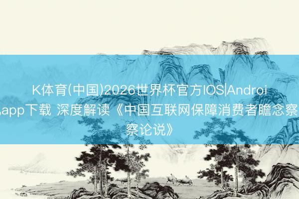 K体育(中国)2026世界杯官方IOS|Android手机app下载 深度解读《中国互联网保障消费者瞻念察论说》