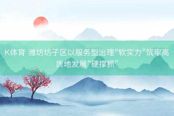 K体育 潍坊坊子区以服务型治理“软实力”筑牢高质地发展“硬撑抓”