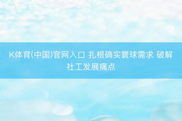 K体育(中国)官网入口 扎根确实寰球需求 破解社工发展痛点