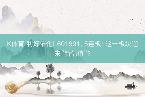 K体育 利好催化! 601991， 5连板! 这一板块迎来“新估值”?