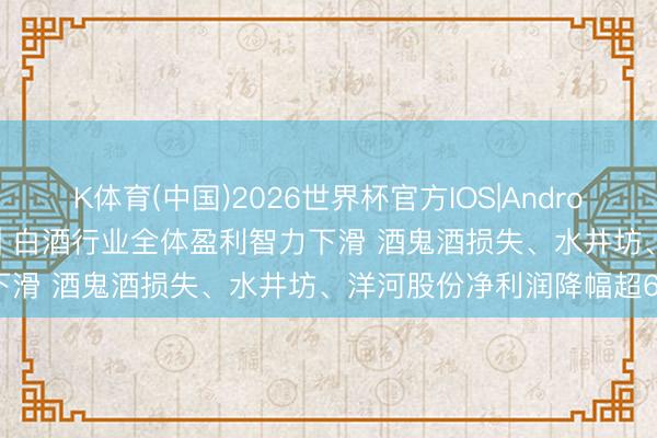 K体育(中国)2026世界杯官方IOS|Android手机app下载 白酒年报| 白酒行业全体盈利智力下滑 酒鬼酒损失、水井坊、洋河股份净利润降幅超60%