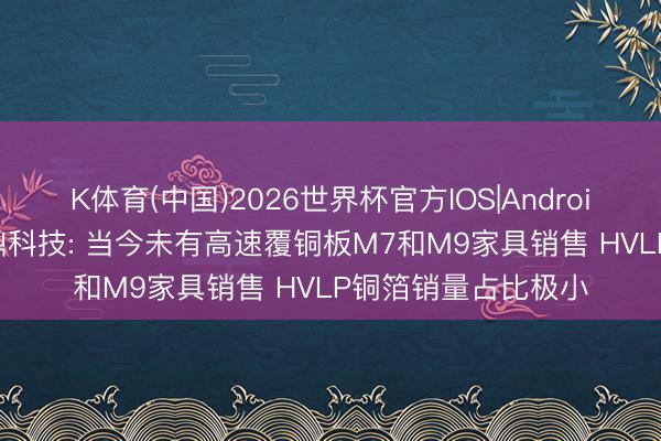 K体育(中国)2026世界杯官方IOS|Android手机app下载 宝鼎科技: 当今未有高速覆铜板M7和M9家具销售 HVLP铜箔销量占比极小