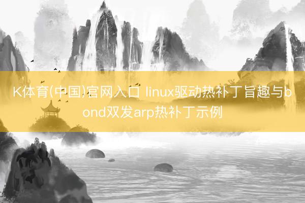 K体育(中国)官网入口 linux驱动热补丁旨趣与bond双发arp热补丁示例