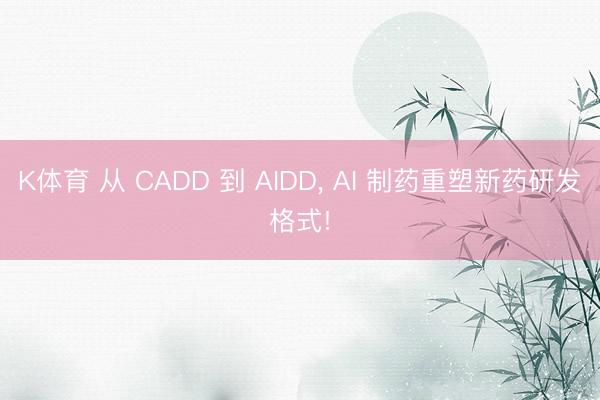 K体育 从 CADD 到 AIDD， AI 制药重塑新药研发格式!