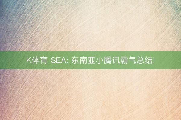 K体育 SEA: 东南亚小腾讯霸气总结!