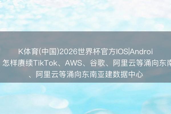 K体育(中国)2026世界杯官方IOS|Android手机app下载 怎样赓续TikTok、AWS、谷歌、阿里云等涌向东南亚建数据中心