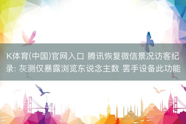 K体育(中国)官网入口 腾讯恢复微信景况访客纪录: 灰测仅暴露浏览东说念主数 罢手设备此功能