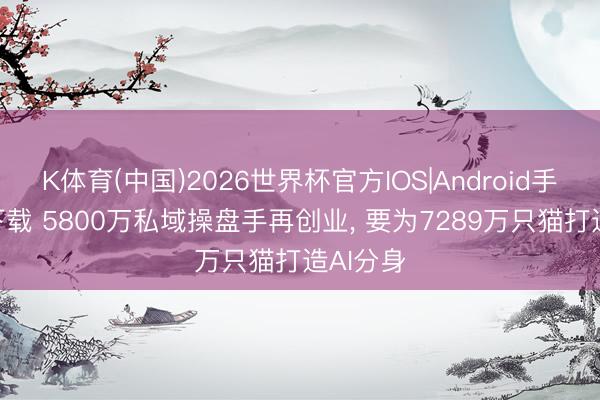 K体育(中国)2026世界杯官方IOS|Android手机app下载 5800万私域操盘手再创业， 要为7289万只猫打造AI分身