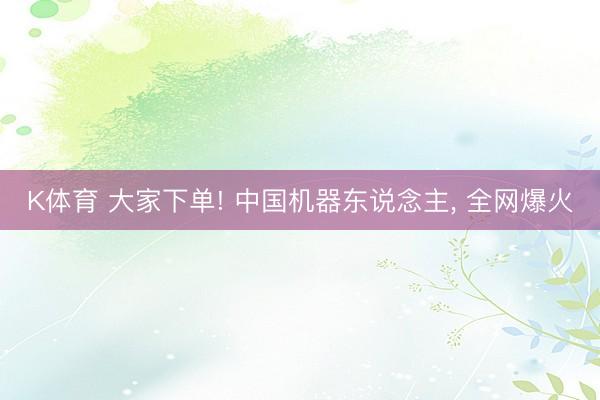 K体育 大家下单! 中国机器东说念主， 全网爆火