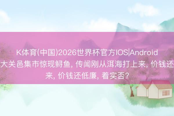 K体育(中国)2026世界杯官方IOS|Android手机app下载 大关邑集市惊现鲟鱼， 传闻刚从洱海打上来， 价钱还低廉， 着实否?