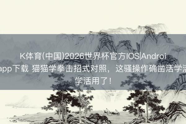K体育(中国)2026世界杯官方IOS|Android手机app下载 猫猫学拳击招式对照，这骚操作确凿活学活用了！