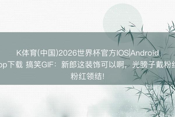 K体育(中国)2026世界杯官方IOS|Android手机app下载 搞笑GIF：新郎这装饰可以啊，光膀子戴粉红领结!
