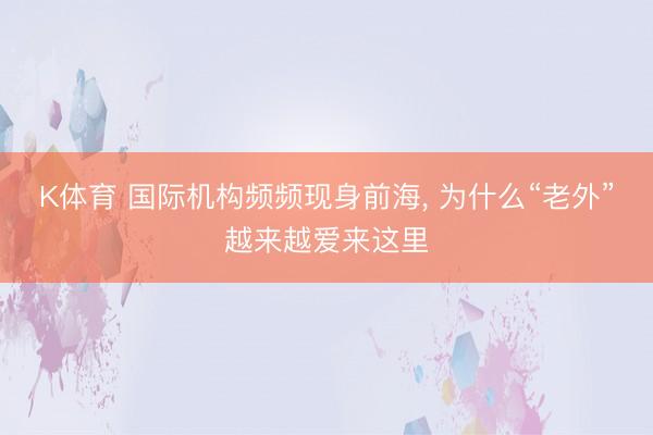 K体育 国际机构频频现身前海， 为什么“老外”越来越爱来这里