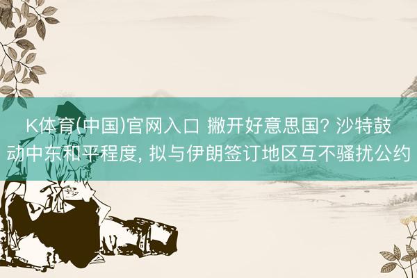 K体育(中国)官网入口 撇开好意思国? 沙特鼓动中东和平程度， 拟与伊朗签订地区互不骚扰公约