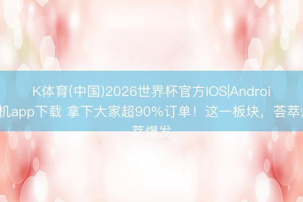 K体育(中国)2026世界杯官方IOS|Android手机app下载 拿下大家超90%订单！这一板块，荟萃爆发