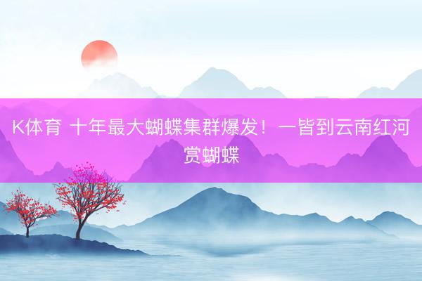 K体育 十年最大蝴蝶集群爆发！一皆到云南红河赏蝴蝶