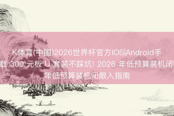 K体育(中国)2026世界杯官方IOS|Android手机app下载 300 元板 U 套装不踩坑! 2026 年低预算装机闭眼入指南