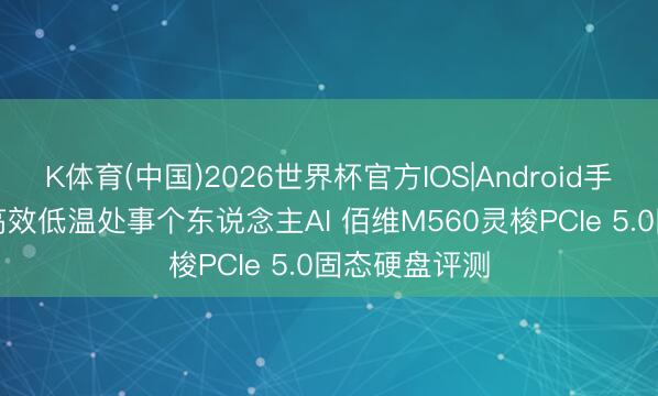 K体育(中国)2026世界杯官方IOS|Android手机app下载 高效低温处事个东说念主AI 佰维M560灵梭PCIe 5.0固态硬盘评测