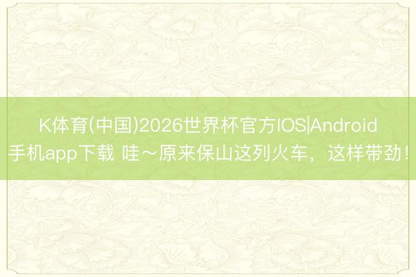 K体育(中国)2026世界杯官方IOS|Android手机app下载 哇～原来保山这列火车，这样带劲！