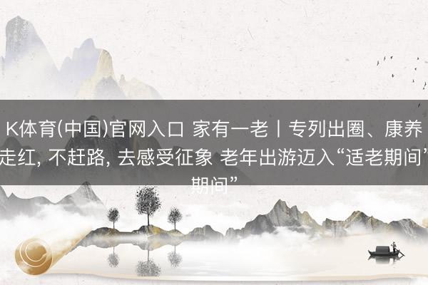 K体育(中国)官网入口 家有一老丨专列出圈、康养走红， 不赶路， 去感受征象 老年出游迈入“适老期间”