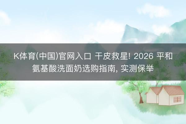K体育(中国)官网入口 干皮救星! 2026 平和氨基酸洗面奶选购指南， 实测保举
