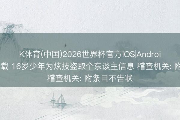K体育(中国)2026世界杯官方IOS|Android手机app下载 16岁少年为炫技盗取个东谈主信息 稽查机关: 附条目不告状