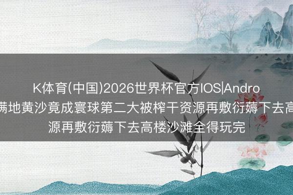 K体育(中国)2026世界杯官方IOS|Android手机app下载 满地黄沙竟成寰球第二大被榨干资源再敷衍薅下去高楼沙滩全得玩完