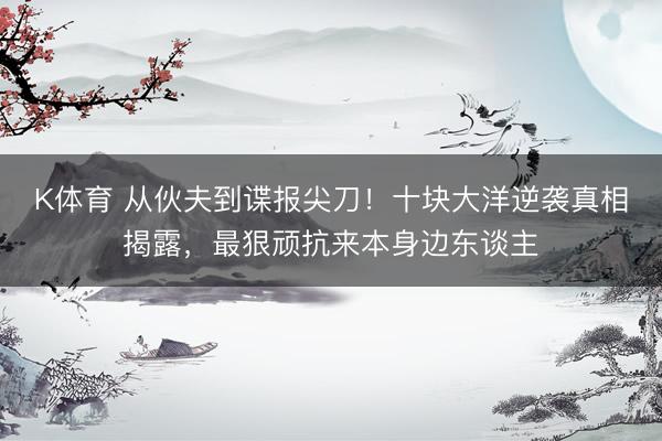 K体育 从伙夫到谍报尖刀！十块大洋逆袭真相揭露，最狠顽抗来本身边东谈主