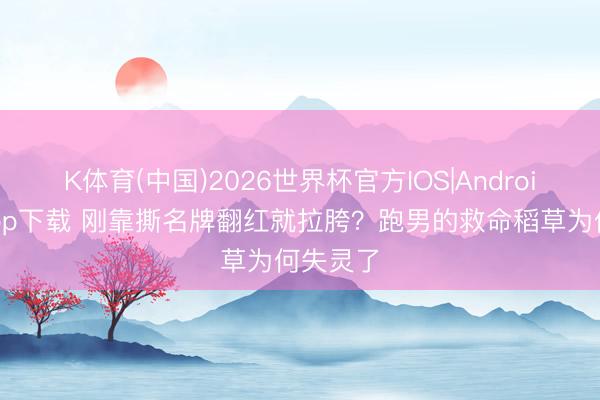 K体育(中国)2026世界杯官方IOS|Android手机app下载 刚靠撕名牌翻红就拉胯？跑男的救命稻草为何失灵了